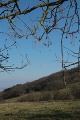 IMG 0150