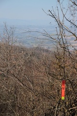 IMG 0152