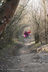 IMG 0156