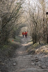 IMG 0162