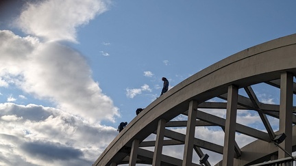 IMG-20230923-WA0052