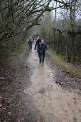 IMG 0831
