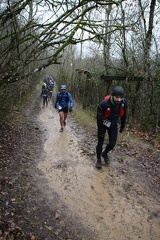 IMG 0885