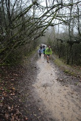 IMG 0935