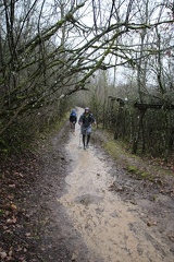 IMG 0950