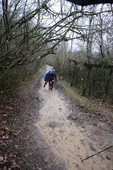 IMG 0951