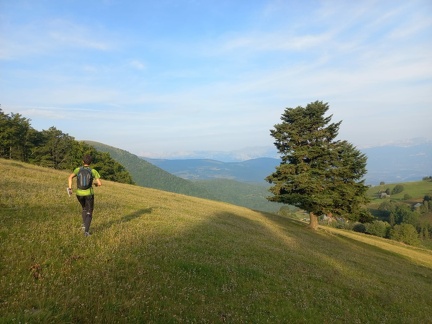 WhatsApp Image 2024-08-30 at 08.44.01