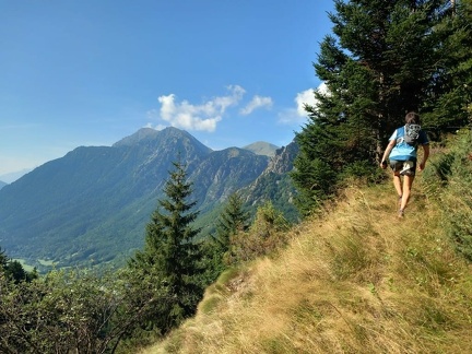 WhatsApp Image 2024-08-30 at 10.50.43