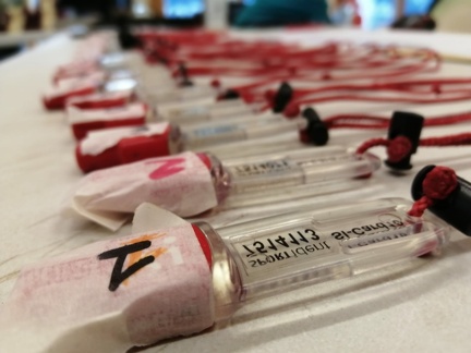 457378439 526076633267419 4302923674497320040 n