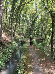 WhatsApp Image 2024-08-30 at 12.17.12