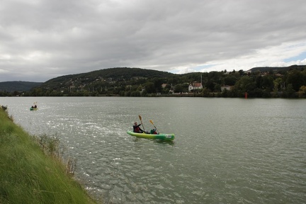 IMG 0175