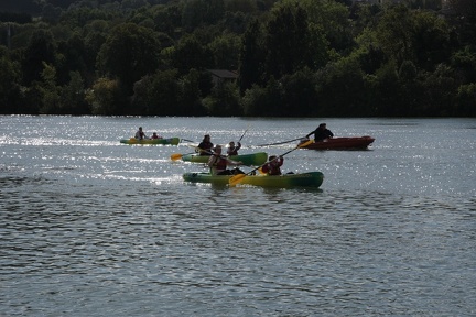 IMG 0266