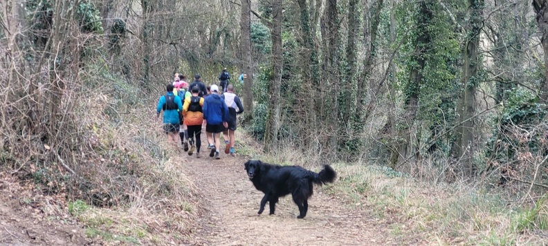 WhatsApp Image 2025-02-08 at 20.40.47.jpeg