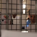 IMG 0014