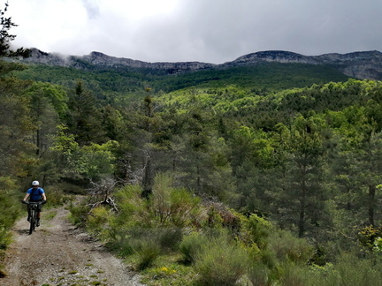 IMG 20260515 222629